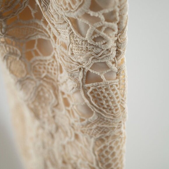 Dress the Population  Avianna Rose Lace Dress | Cream | XS | NWT - Picture 4 of 15